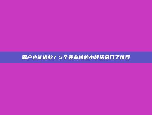 黑户也能借款？5个免审核的小额资金口子推荐