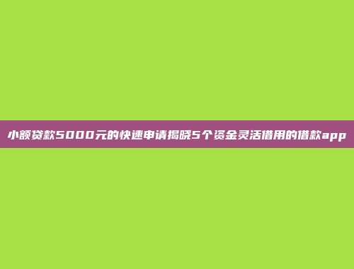 小额贷款5000元的快速申请揭晓5个资金灵活借用的借款app