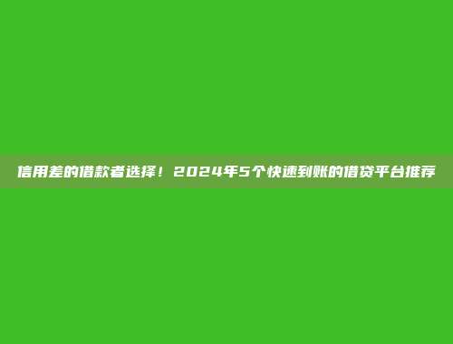 信用差的借款者选择！2024年5个快速到账的借贷平台推荐