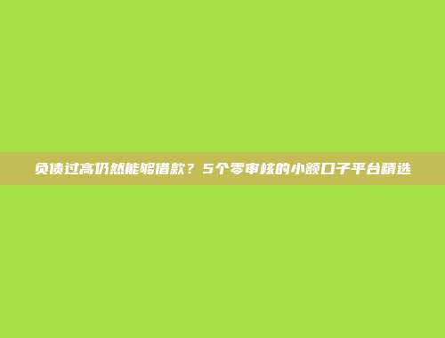 负债过高仍然能够借款？5个零审核的小额口子平台精选