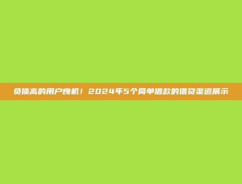 负债高的用户良机！2024年5个简单借款的借贷渠道展示