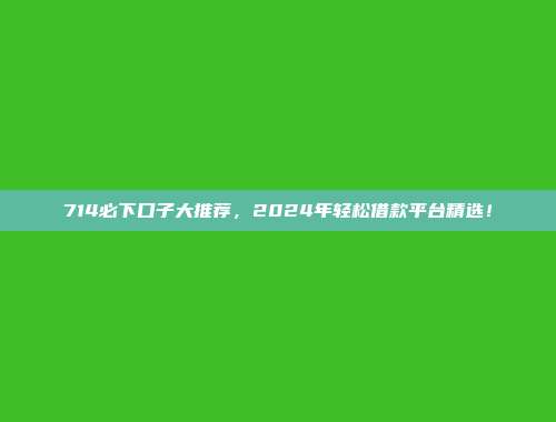 714必下口子大推荐，2024年轻松借款平台精选！