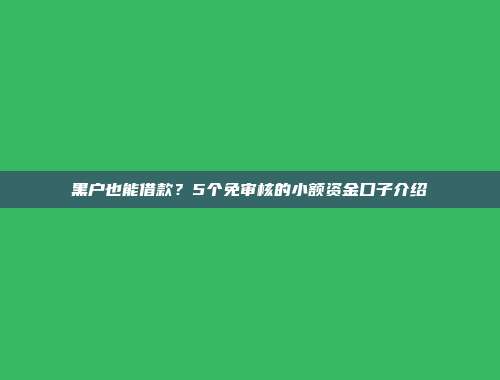 黑户也能借款？5个免审核的小额资金口子介绍