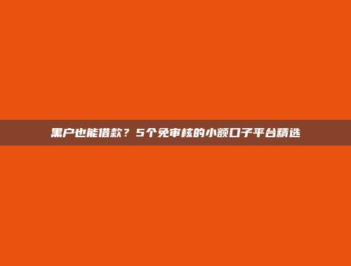 黑户也能借款？5个免审核的小额口子平台精选