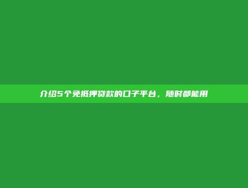 介绍5个免抵押贷款的口子平台，随时都能用