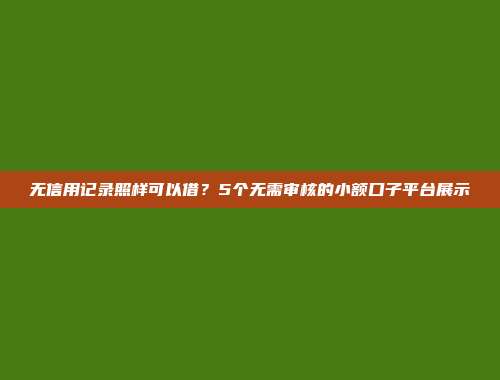 无信用记录照样可以借？5个无需审核的小额口子平台展示