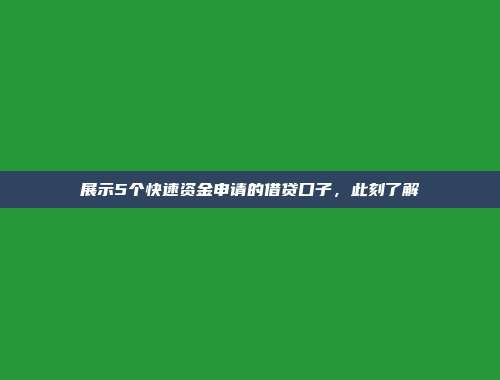 展示5个快速资金申请的借贷口子，此刻了解