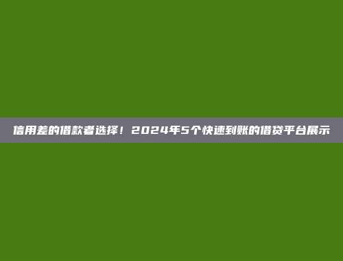 信用差的借款者选择！2024年5个快速到账的借贷平台展示