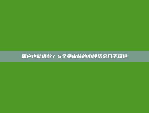 黑户也能借款？5个免审核的小额资金口子精选