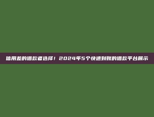 信用差的借款者选择！2024年5个快速到账的借款平台展示