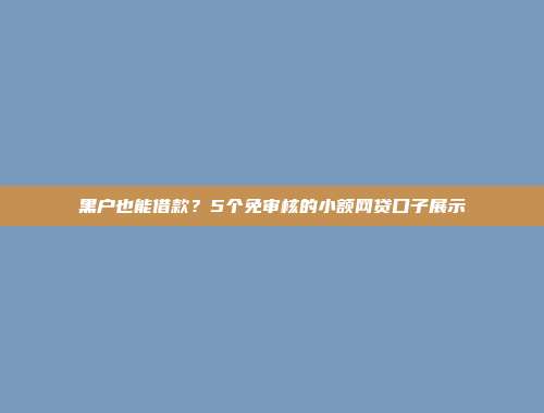 黑户也能借款？5个免审核的小额网贷口子展示