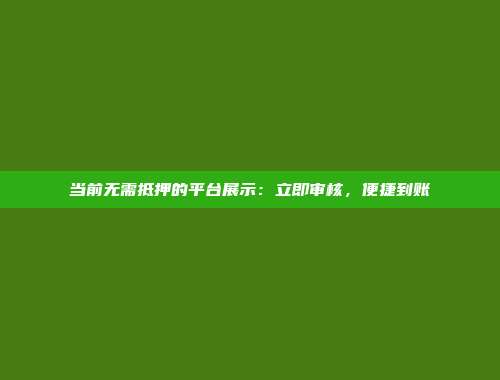 当前无需抵押的平台展示：立即审核，便捷到账