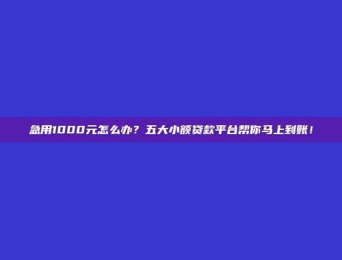 急用1000元怎么办？五大小额贷款平台帮你马上到账！