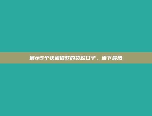 展示5个快速借款的贷款口子，当下最热