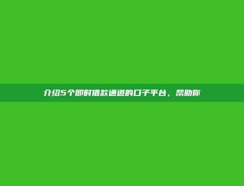 介绍5个即时借款通道的口子平台，帮助你