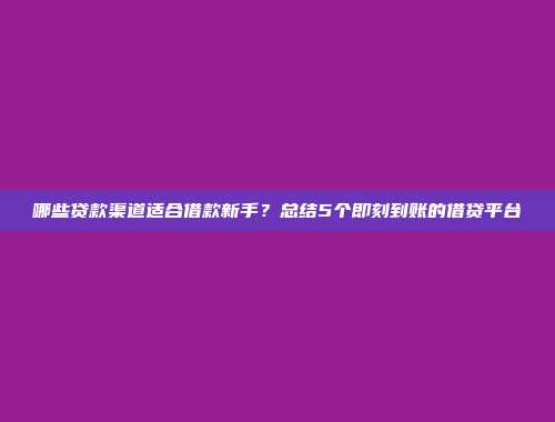 哪些贷款渠道适合借款新手？总结5个即刻到账的借贷平台