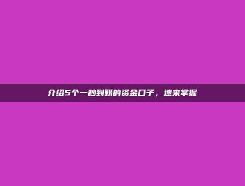 介绍5个一秒到账的资金口子，速来掌握