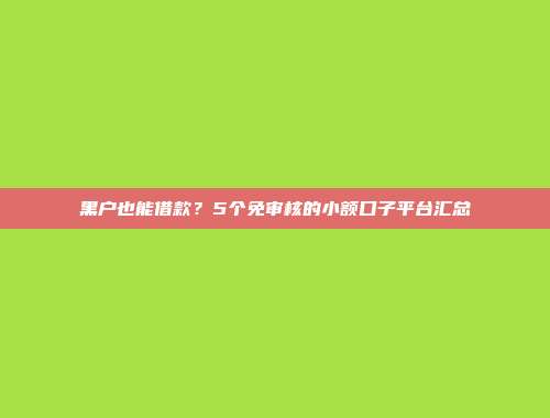 黑户也能借款？5个免审核的小额口子平台汇总