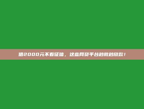 借2000元不看征信，这些网贷平台秒批秒放款！