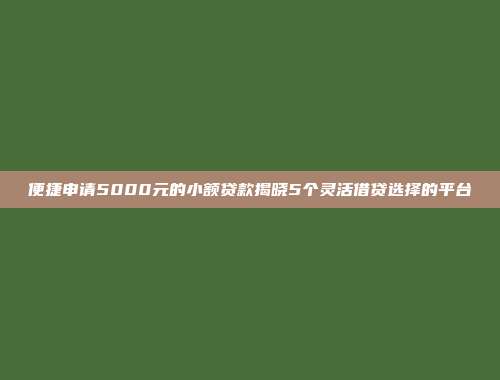 便捷申请5000元的小额贷款揭晓5个灵活借贷选择的平台