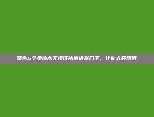 精选5个负债高无视征信的借贷口子，让你大开眼界