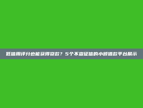 低信用评分也能获得贷款？5个不查征信的小额借款平台展示