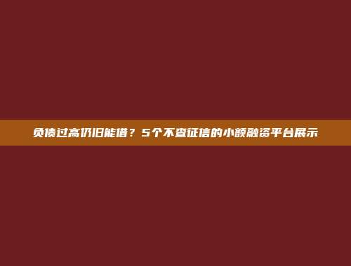 负债过高仍旧能借？5个不查征信的小额融资平台展示