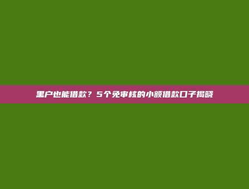 黑户也能借款？5个免审核的小额借款口子揭晓