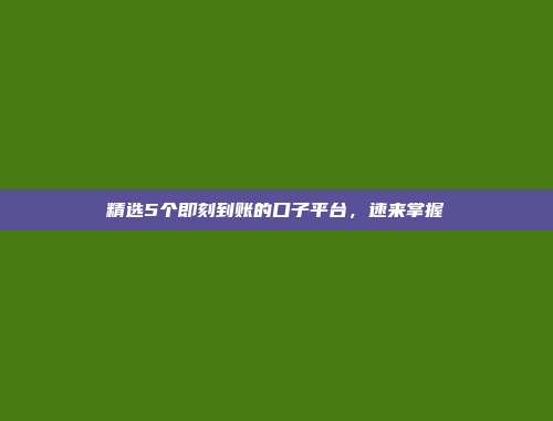 精选5个即刻到账的口子平台，速来掌握