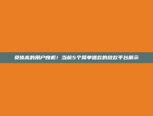 负债高的用户良机！当前5个简单借款的放款平台展示