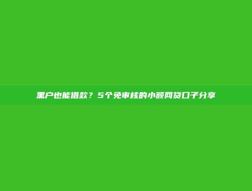 黑户也能借款？5个免审核的小额网贷口子分享