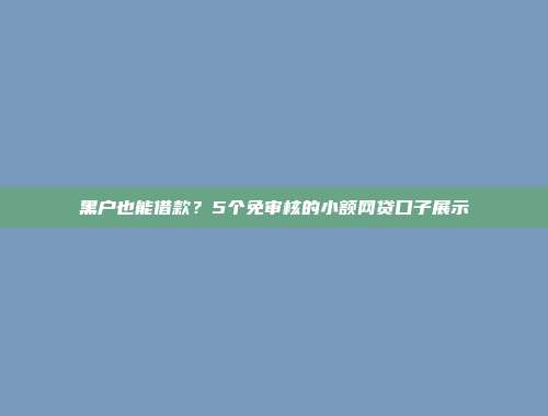 黑户也能借款？5个免审核的小额网贷口子展示