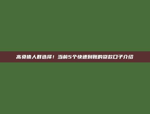 高负债人群选择！当前5个快速到账的贷款口子介绍