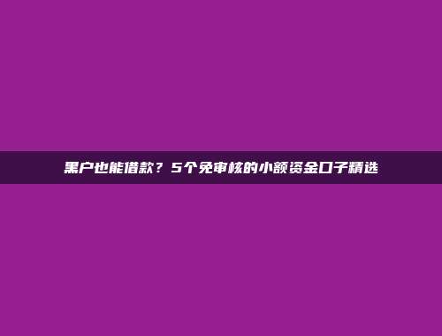 黑户也能借款？5个免审核的小额资金口子精选