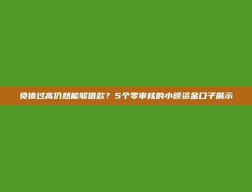 负债过高仍然能够借款？5个零审核的小额资金口子展示