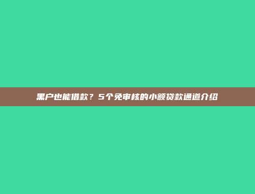 黑户也能借款？5个免审核的小额贷款通道介绍