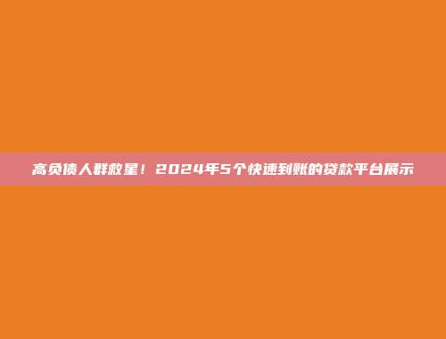 高负债人群救星！2024年5个快速到账的贷款平台展示