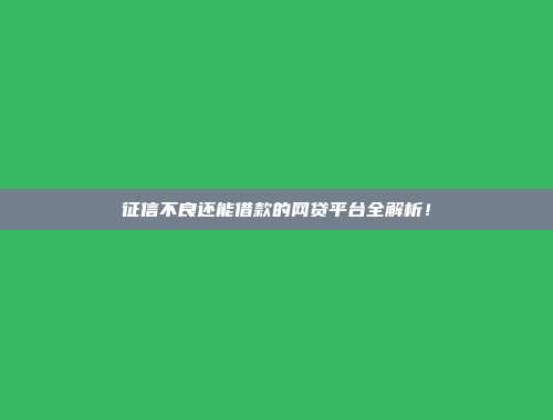 征信不良还能借款的网贷平台全解析！