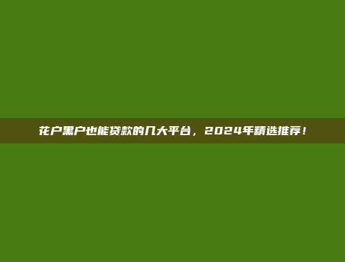 花户黑户也能贷款的几大平台，2024年精选推荐！