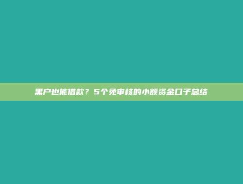 黑户也能借款？5个免审核的小额资金口子总结