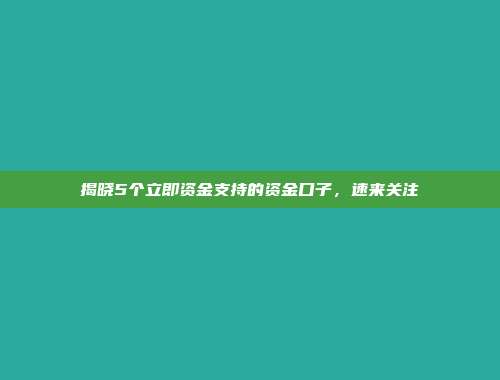 揭晓5个立即资金支持的资金口子，速来关注