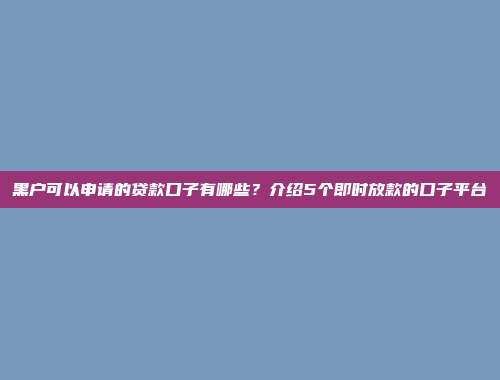 黑户可以申请的贷款口子有哪些？介绍5个即时放款的口子平台