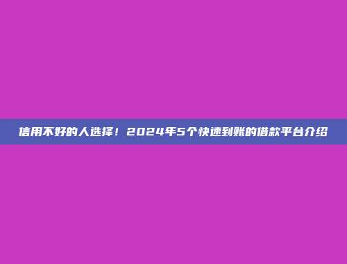 信用不好的人选择！2024年5个快速到账的借款平台介绍