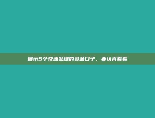 展示5个快速处理的资金口子，要认真看看