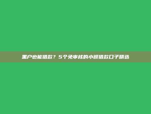 黑户也能借款？5个免审核的小额借款口子精选