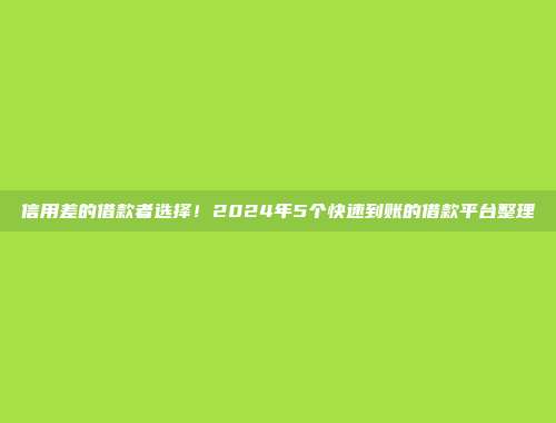 信用差的借款者选择！2024年5个快速到账的借款平台整理