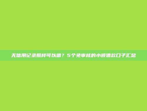 无信用记录照样可以借？5个免审核的小额借款口子汇总