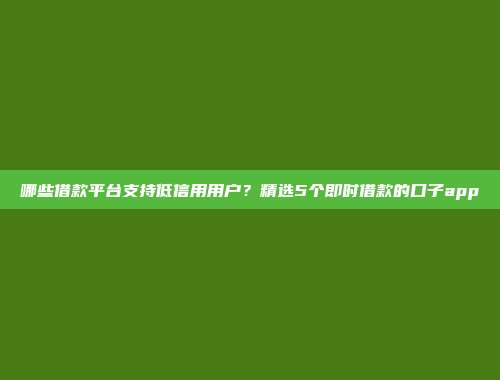 哪些借款平台支持低信用用户？精选5个即时借款的口子app