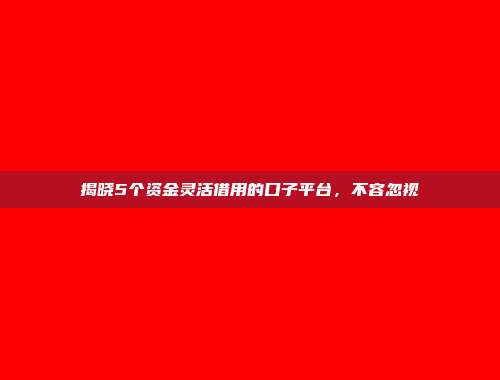 揭晓5个资金灵活借用的口子平台，不容忽视