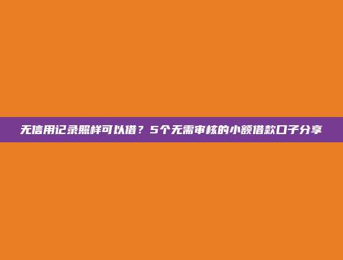 无信用记录照样可以借？5个无需审核的小额借款口子分享